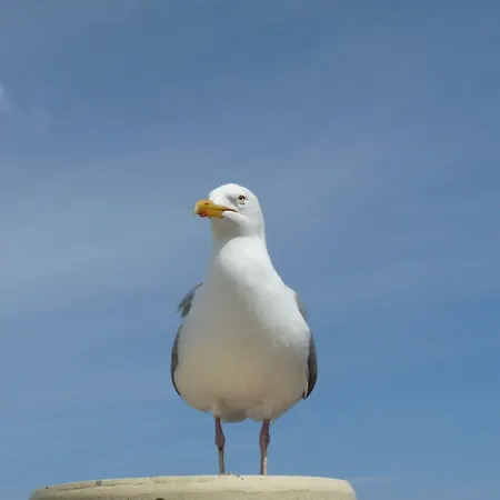 ゲストハウス Haus Am Burggraben